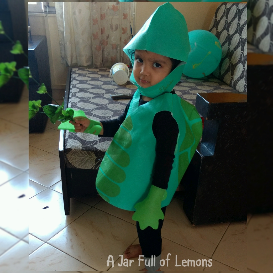Bye-Bye rented costumes – DIY Fancy dress ideas | Toddler Favorites,Dress  up and Costumes,Activities,Stay at Home Parent,Motherhood | Blog Post by  Sonam Choudhary | Momspresso